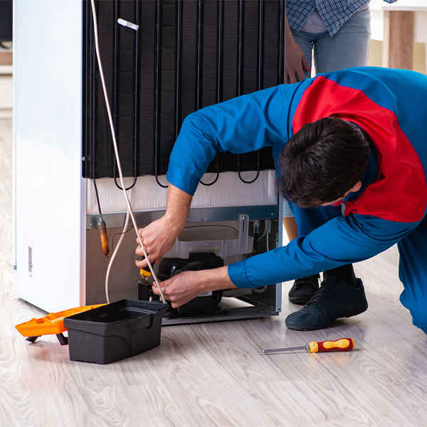 what are the common refrigerator repair services in Lake Camelot